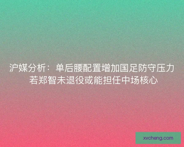沪媒分析:单后腰配置增加国足防守压力 若郑智未退役或能担任中场核心 沪媒分析:单后腰配置增加国足防守压力 若郑智未退役或能担任中场核心