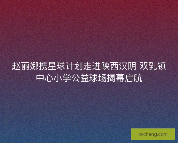 赵丽娜携星球计划走进陕西汉阴 双乳镇中心小学公益球场揭幕启航